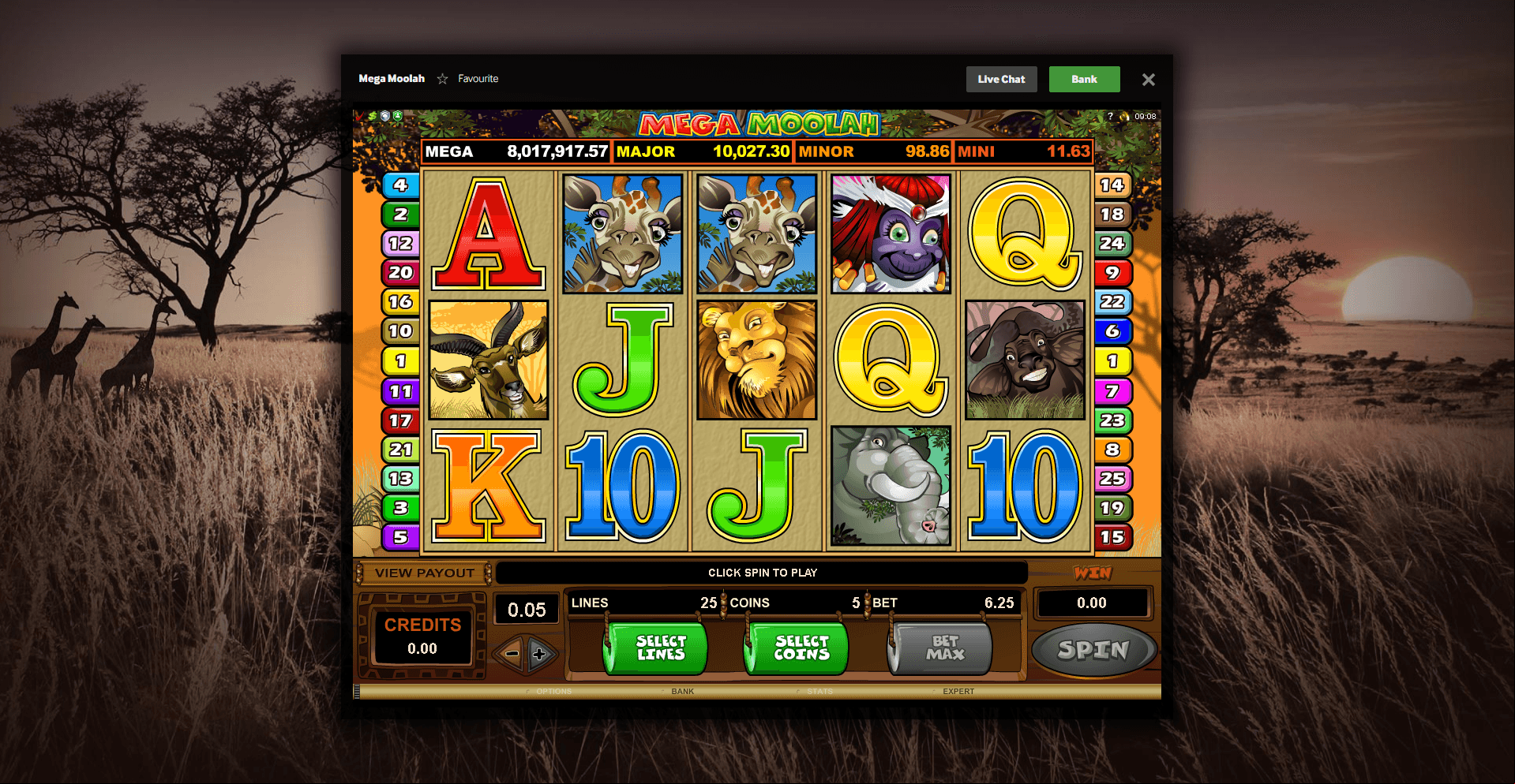 Mega Moolah Screenshot